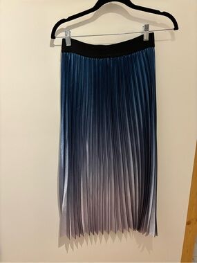 Lucy Paris Skirt